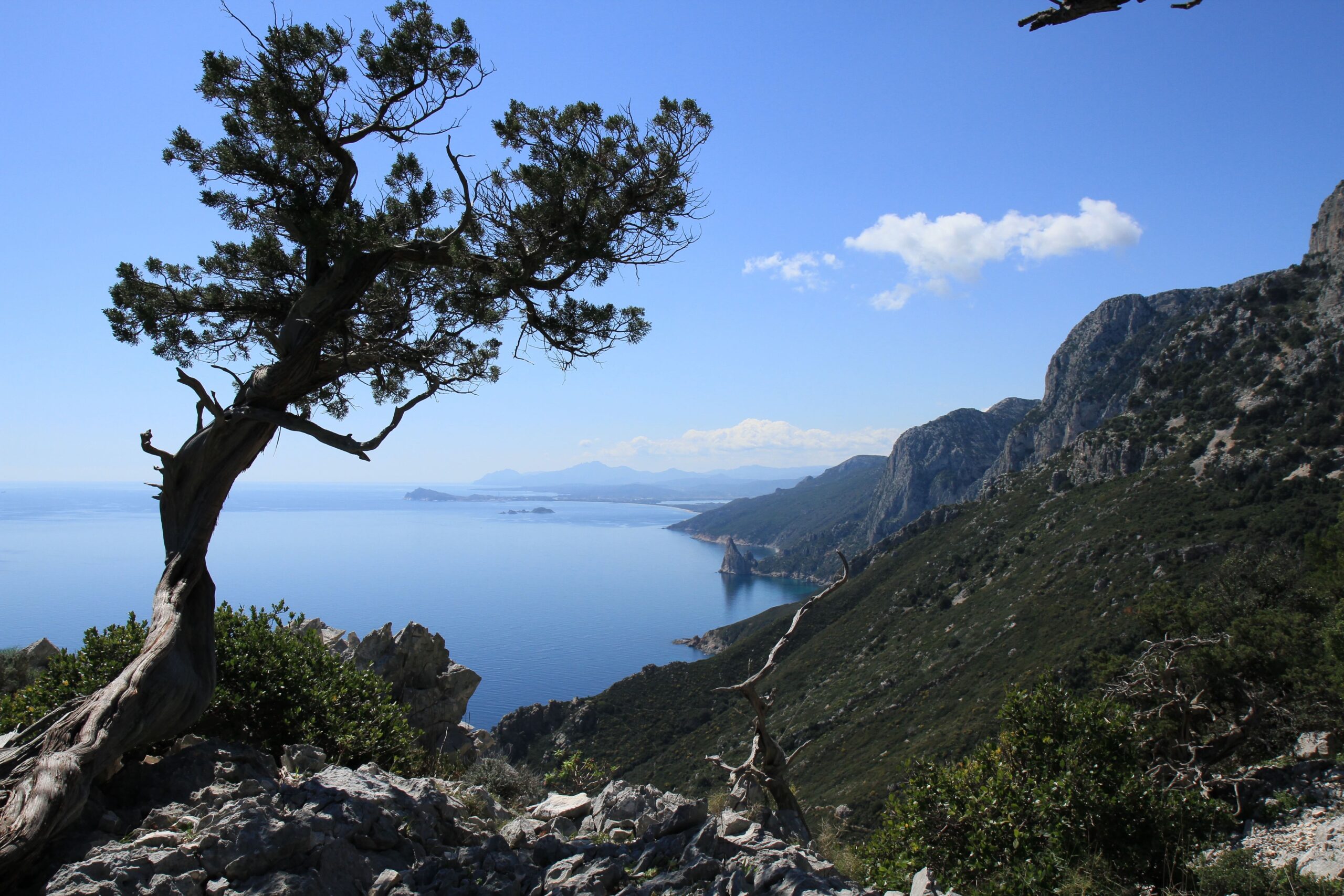 Italea Sardegna ti guida nella scoperta delle tue origini